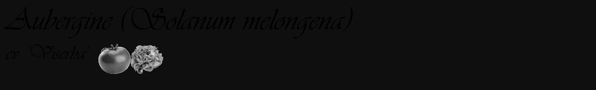 Étiquette de : Solanum melongena cv. 'Viserba' - format c - style noire7_basique_basiqueviv avec comestibilité simplifiée