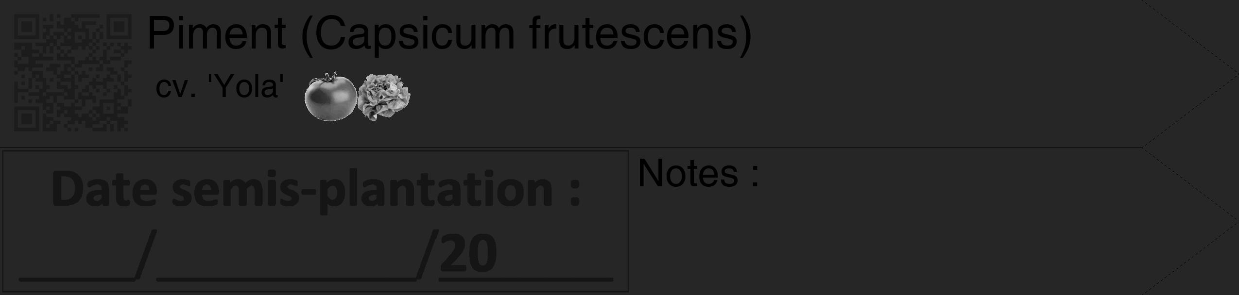 Étiquette de : Capsicum frutescens cv. 'Yola' - format c - style noire29_simple_simplehel avec qrcode et comestibilité simplifiée