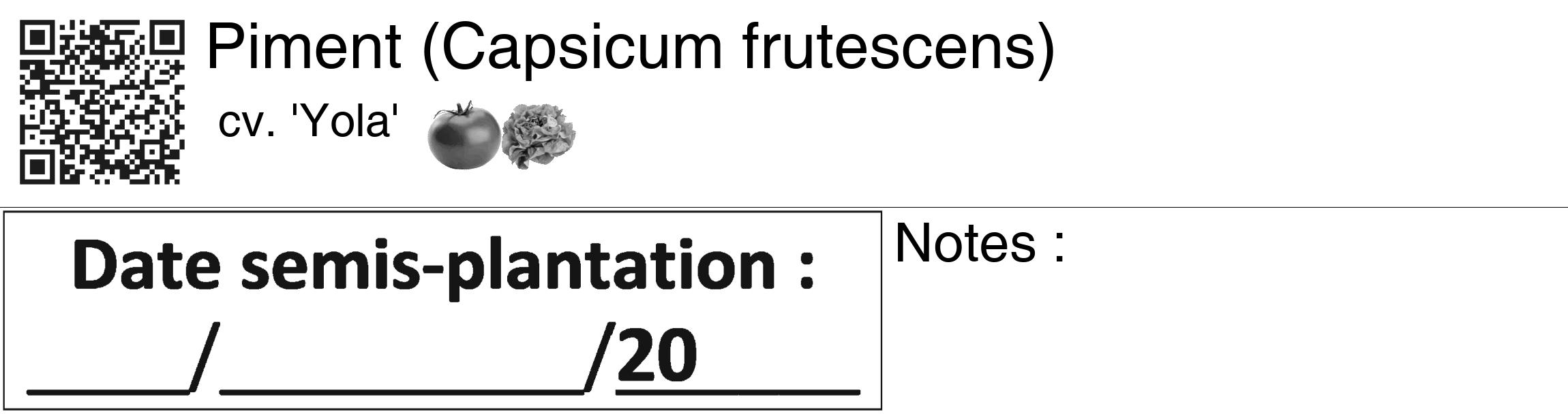 Étiquette de : Capsicum frutescens cv. 'Yola' - format c - style noire60_basiquegrrvhel avec qrcode et comestibilité simplifiée