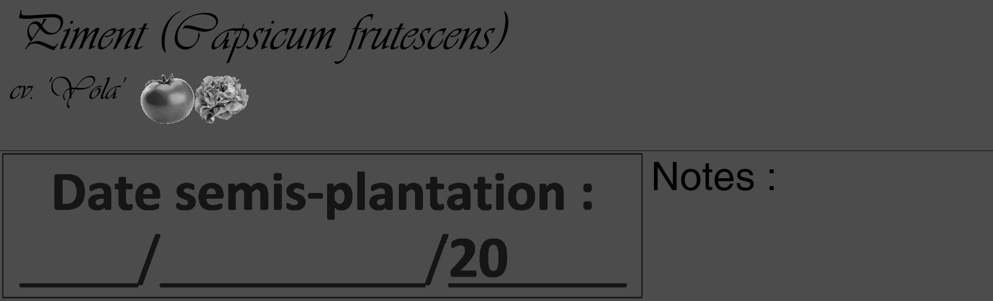 Étiquette de : Capsicum frutescens cv. 'Yola' - format c - style noire27_basique_basiqueviv avec comestibilité simplifiée
