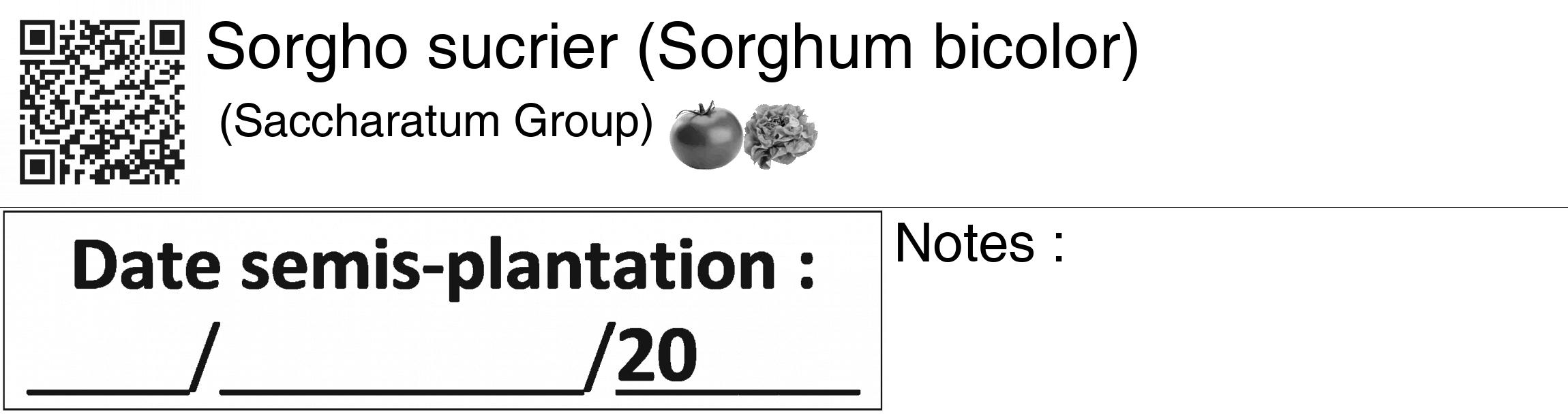Étiquette de : Sorghum bicolor (Saccharatum Group) - format c - style noire60_basiquegrrvhel avec qrcode et comestibilité simplifiée