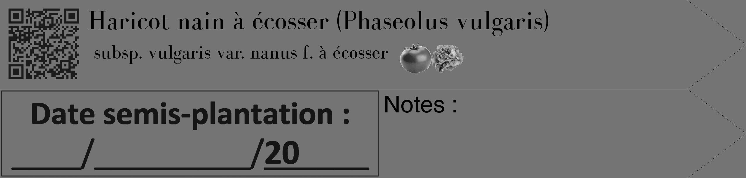 Étiquette de : Phaseolus vulgaris subsp. vulgaris var. nanus f. à écosser - format c - style noire26_simple_simplebod avec qrcode et comestibilité simplifiée
