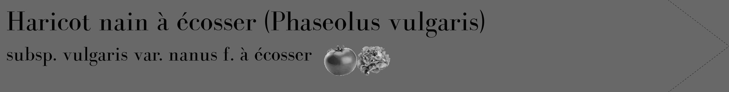 Étiquette de : Phaseolus vulgaris subsp. vulgaris var. nanus f. à écosser - format c - style noire43_simple_simplebod avec comestibilité simplifiée