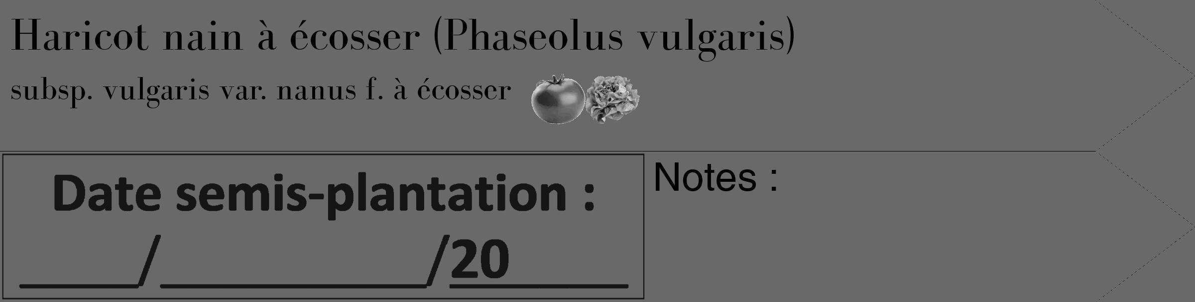 Étiquette de : Phaseolus vulgaris subsp. vulgaris var. nanus f. à écosser - format c - style noire51_simple_simplebod avec comestibilité simplifiée