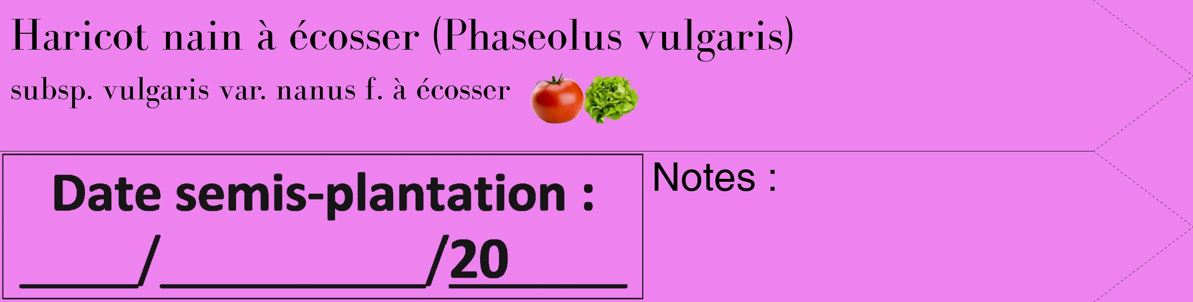 Étiquette de : Phaseolus vulgaris subsp. vulgaris var. nanus f. à écosser - format c - style noire53_simple_simplebod avec comestibilité simplifiée