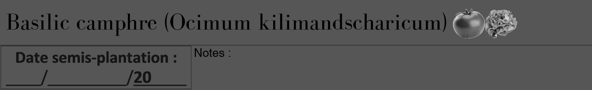 Étiquette de : Ocimum kilimandscharicum - format a - style noire45bod avec comestibilité simplifiée