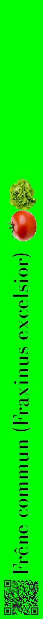 Étiquette de : Fraxinus excelsior - format a - style noire16bod avec qrcode et comestibilité simplifiée