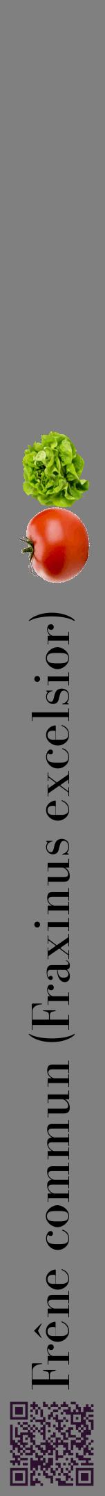 Étiquette de : Fraxinus excelsior - format a - style noire57bod avec qrcode et comestibilité simplifiée