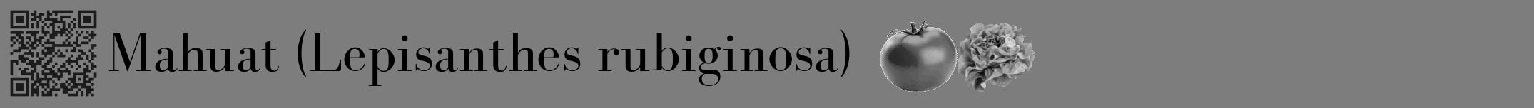 Étiquette de : Lepisanthes rubiginosa - format a - style noire35basiquebod avec qrcode et comestibilité simplifiée
