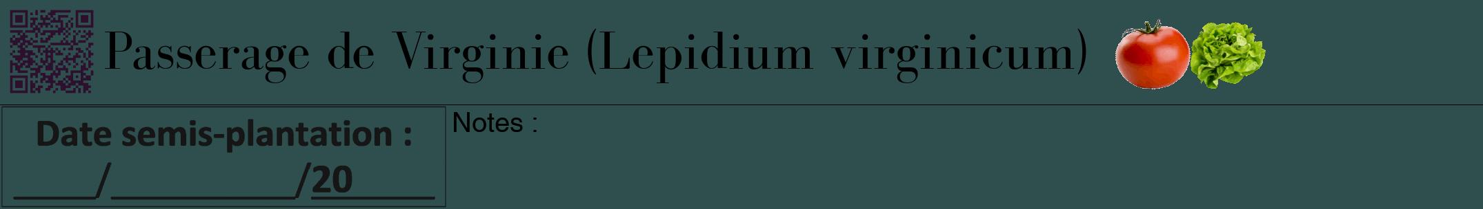 Étiquette de : Lepidium virginicum - format a - style noire58bod avec qrcode et comestibilité simplifiée