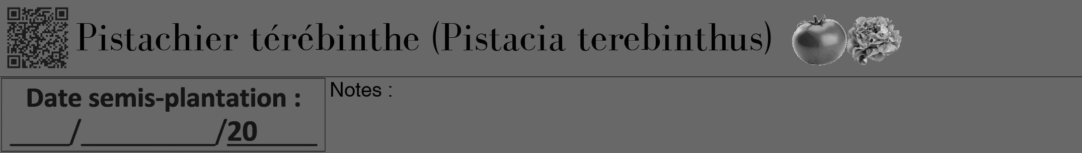 Étiquette de : Pistacia terebinthus - format a - style noire43bod avec qrcode et comestibilité simplifiée