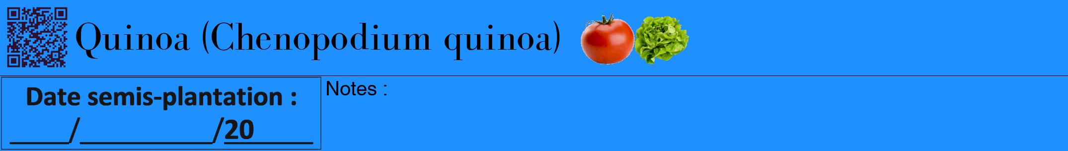 Étiquette de : Chenopodium quinoa - format a - style noire3bod avec qrcode et comestibilité simplifiée