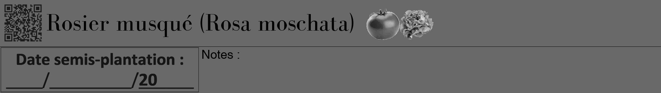 Étiquette de : Rosa moschata - format a - style noire51bod avec qrcode et comestibilité simplifiée