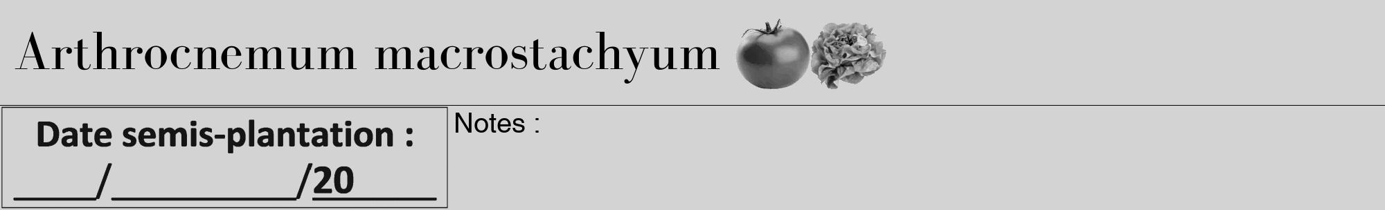 Étiquette de : Arthrocnemum macrostachyum - format a - style noire56bod avec comestibilité simplifiée