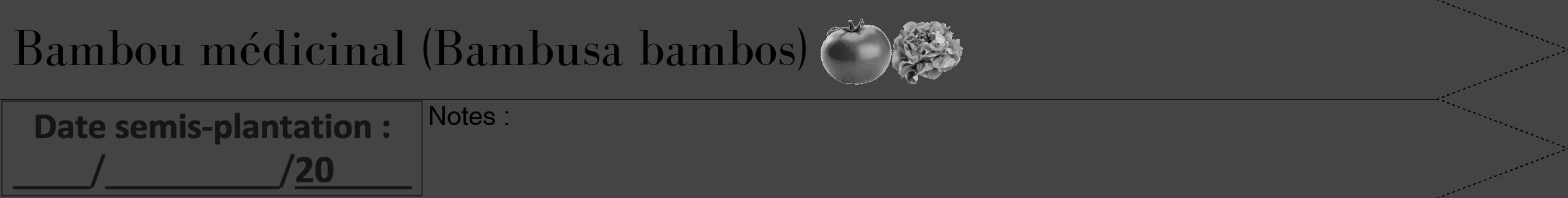 Étiquette de : Bambusa bambos - format b - style noire48bod avec comestibilité simplifiée