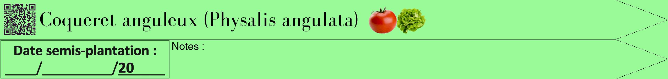 Étiquette de : Physalis angulata - format b - style noire14bod avec qrcode et comestibilité simplifiée
