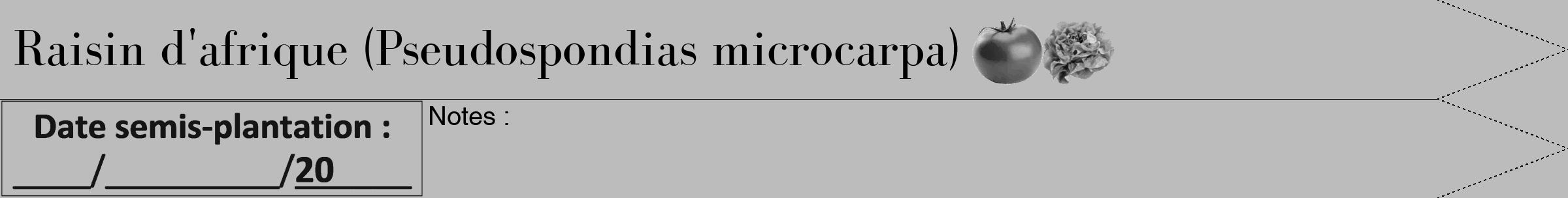Étiquette de : Pseudospondias microcarpa - format b - style noire1simplebod avec comestibilité simplifiée