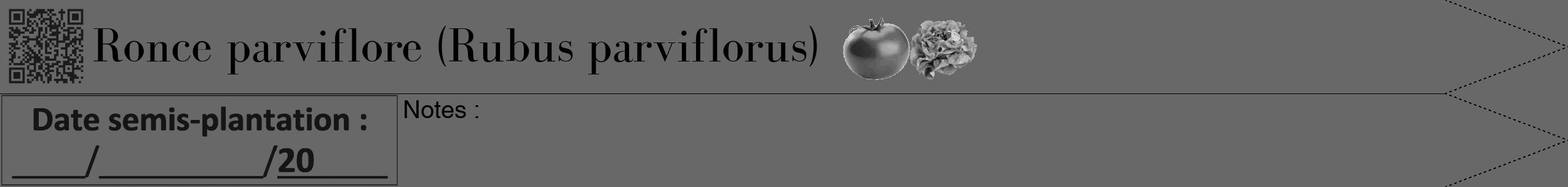 Étiquette de : Rubus parviflorus - format b - style noire43bod avec qrcode et comestibilité simplifiée