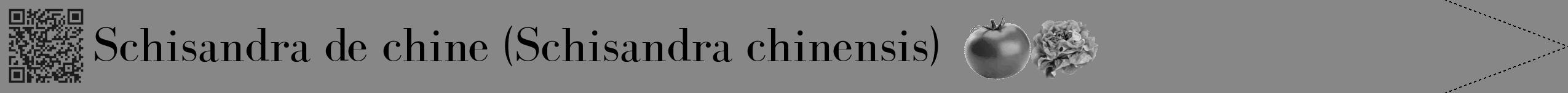 Étiquette de : Schisandra chinensis - format b - style noire12bod avec qrcode et comestibilité simplifiée