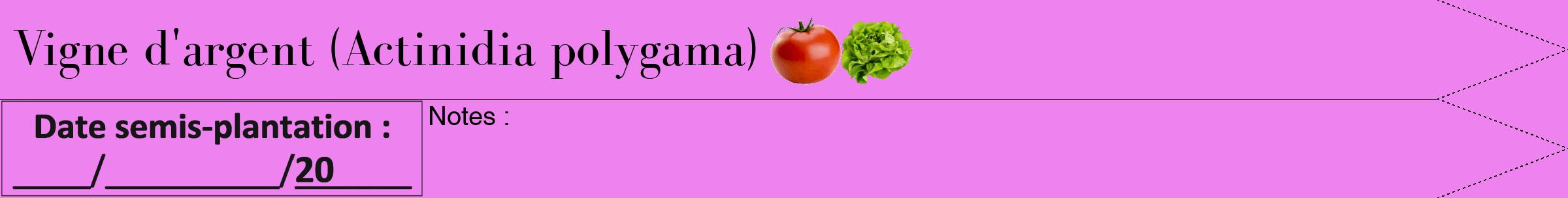 Étiquette de : Actinidia polygama - format b - style noire53bod avec comestibilité simplifiée