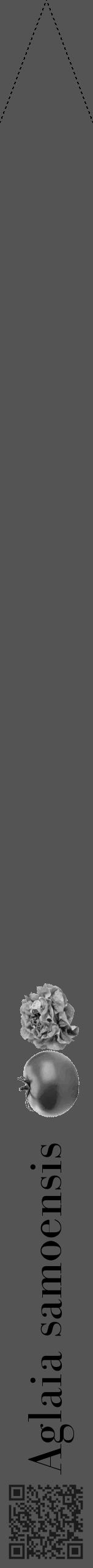 Étiquette de : Aglaia samoensis - format b - style noire30bod avec qrcode et comestibilité simplifiée - position verticale