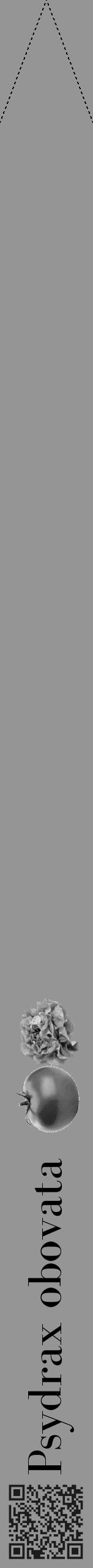 Étiquette de : Psydrax obovata - format b - style noire16bod avec qrcode et comestibilité simplifiée - position verticale
