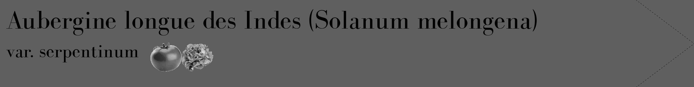 Étiquette de : Solanum melongena var. serpentinum - format c - style noire10_simple_simplebod avec comestibilité simplifiée