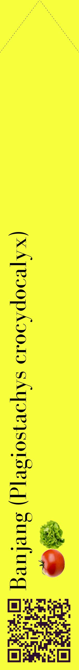 Étiquette de : Plagiostachys crocydocalyx - format c - style noire18_simplebod avec qrcode et comestibilité simplifiée