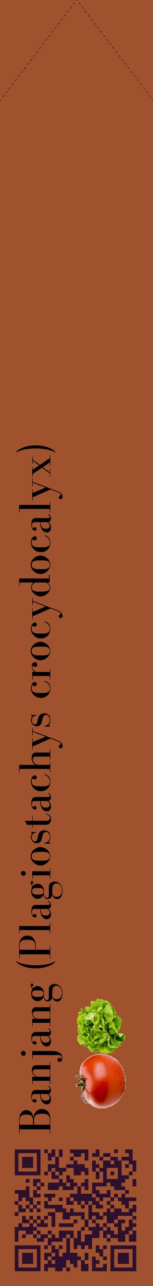 Étiquette de : Plagiostachys crocydocalyx - format c - style noire32_simplebod avec qrcode et comestibilité simplifiée
