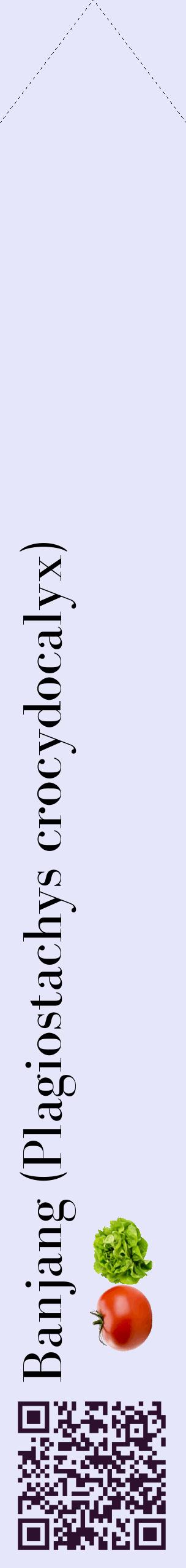 Étiquette de : Plagiostachys crocydocalyx - format c - style noire55_simplebod avec qrcode et comestibilité simplifiée