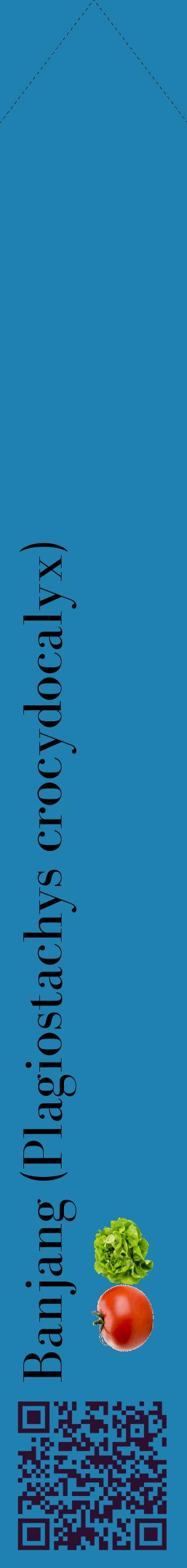 Étiquette de : Plagiostachys crocydocalyx - format c - style noire6_simplebod avec qrcode et comestibilité simplifiée