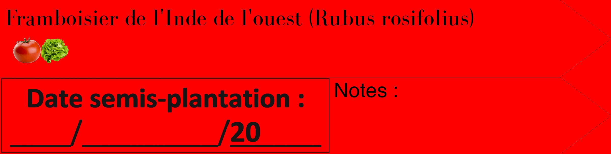 Étiquette de : Rubus rosifolius - format c - style noire27_simple_simplebod avec comestibilité simplifiée