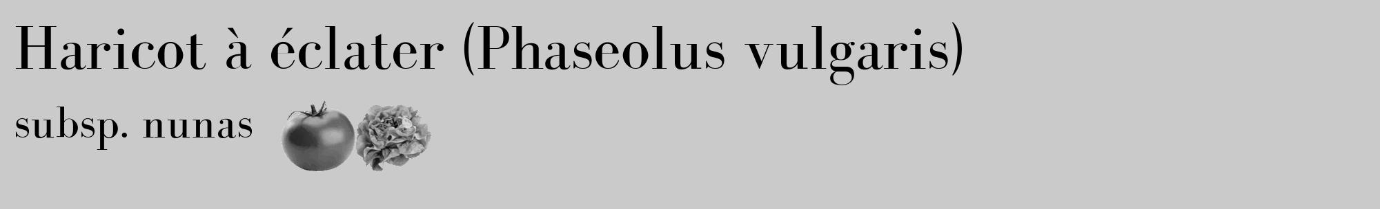 Étiquette de : Phaseolus vulgaris subsp. nunas - format c - style noire21_basique_basiquebod avec comestibilité simplifiée