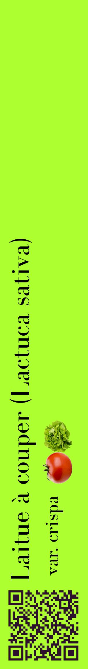 Étiquette de : Lactuca sativa var. crispa - format c - style noire17_basiquebod avec qrcode et comestibilité simplifiée