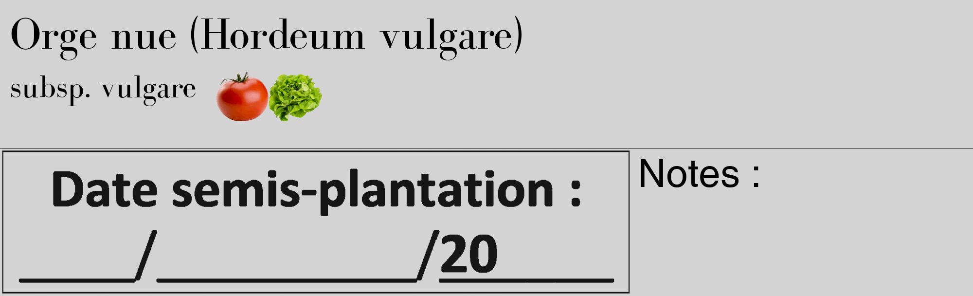 Étiquette de : Hordeum vulgare subsp. vulgare - format c - style noire56_basique_basiquebod avec comestibilité simplifiée