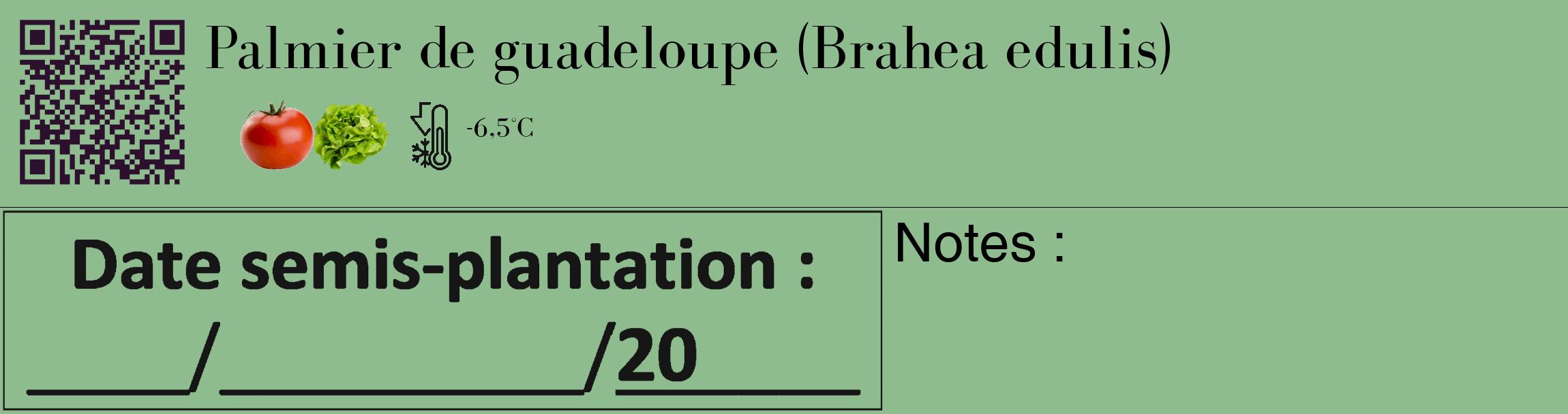 Étiquette de : Brahea edulis - format c - style noire13_basique_basiquebod avec qrcode et comestibilité simplifiée