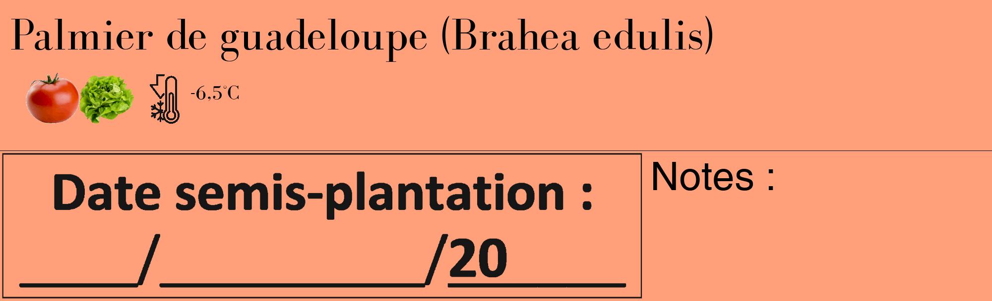 Étiquette de : Brahea edulis - format c - style noire39_basique_basiquebod avec comestibilité simplifiée