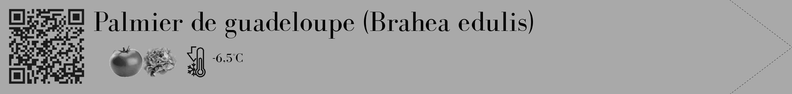 Étiquette de : Brahea edulis - format c - style noire13_simple_simplebod avec qrcode et comestibilité simplifiée