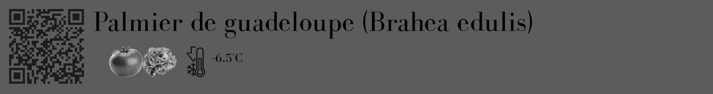 Étiquette de : Brahea edulis - format c - style noire49_basique_basiquebod avec qrcode et comestibilité simplifiée