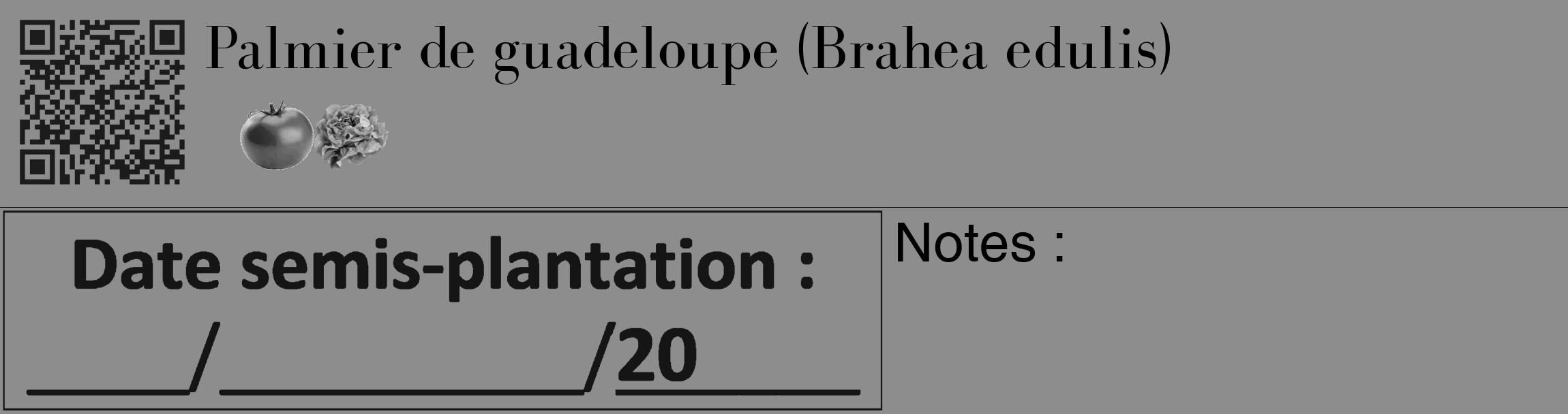 Étiquette de : Brahea edulis - format c - style noire2_basique_basiquebod avec qrcode et comestibilité simplifiée