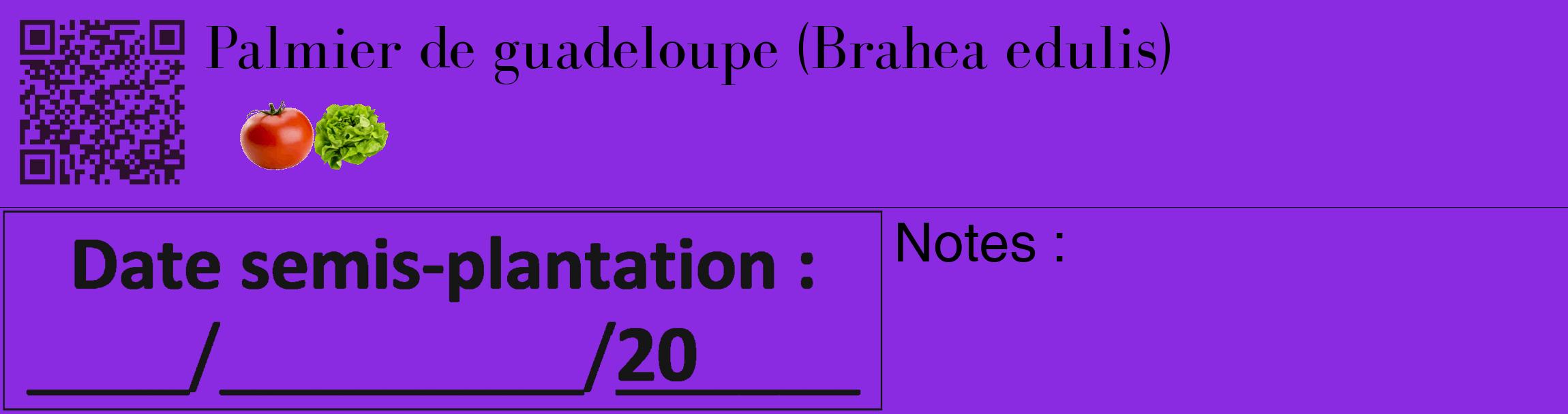 Étiquette de : Brahea edulis - format c - style noire49_basique_basiquebod avec qrcode et comestibilité simplifiée