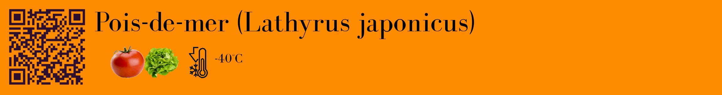 Étiquette de : Lathyrus japonicus - format c - style noire23_basique_basiquebod avec qrcode et comestibilité simplifiée