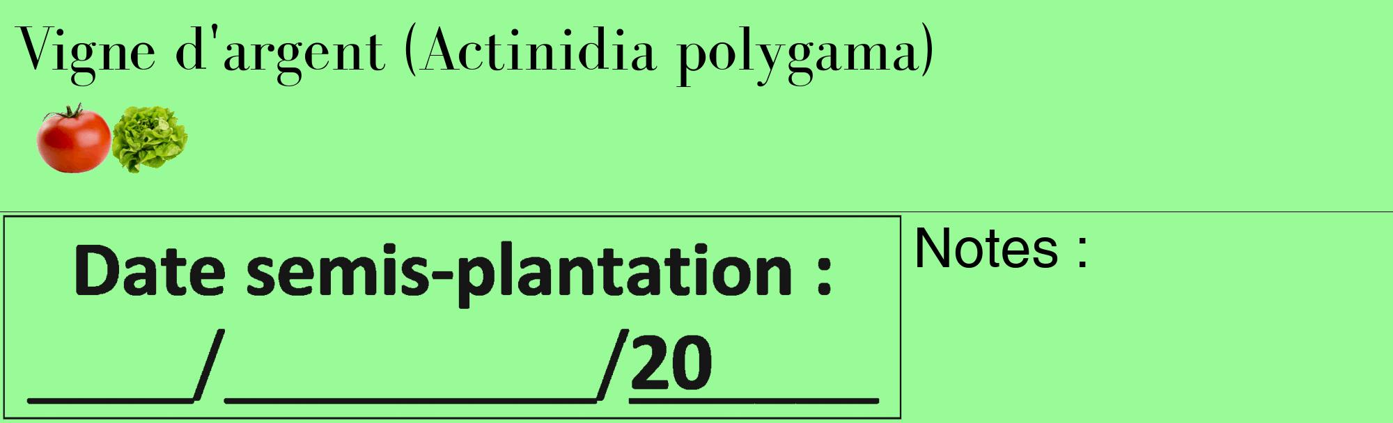 Étiquette de : Actinidia polygama - format c - style noire14_basique_basiquebod avec comestibilité simplifiée
