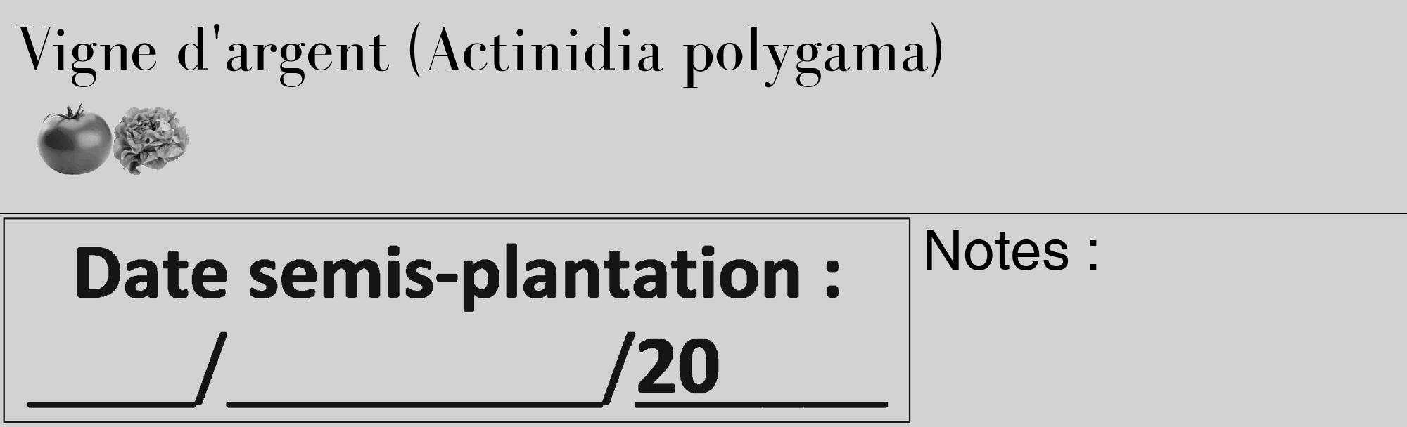 Étiquette de : Actinidia polygama - format c - style noire14_basique_basiquebod avec comestibilité simplifiée