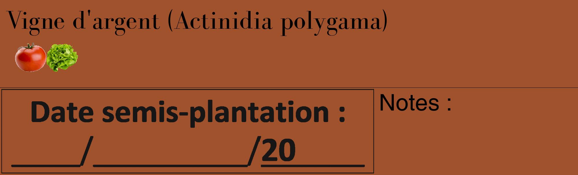 Étiquette de : Actinidia polygama - format c - style noire32_basique_basiquebod avec comestibilité simplifiée