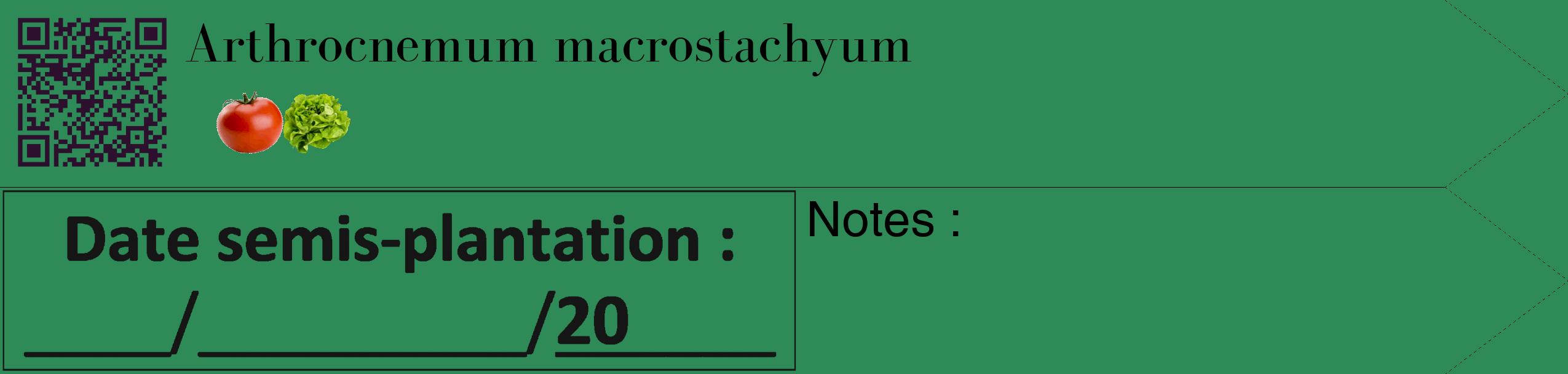 Étiquette de : Arthrocnemum macrostachyum - format c - style noire11_simple_simplebod avec qrcode et comestibilité simplifiée