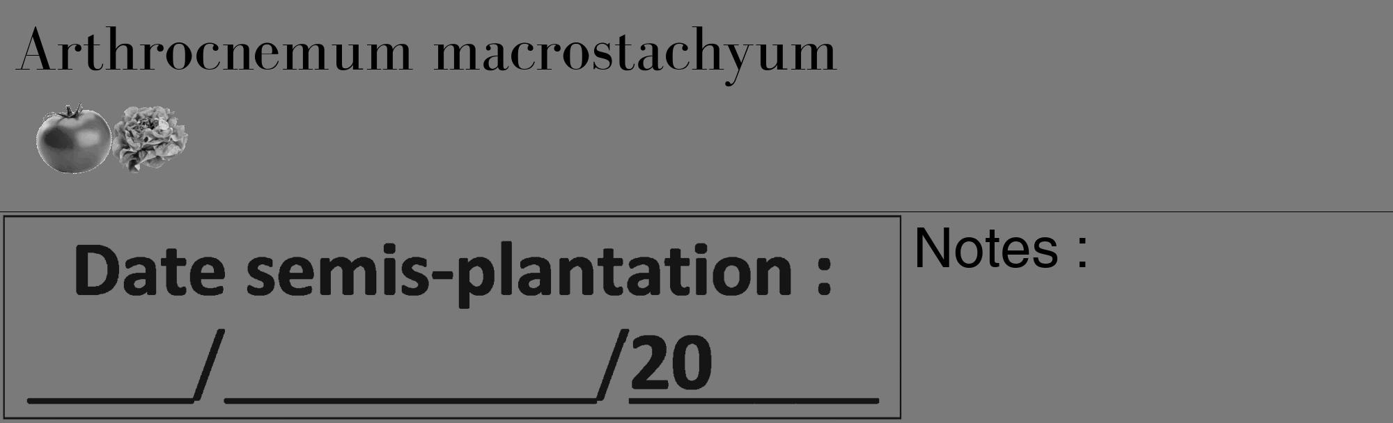 Étiquette de : Arthrocnemum macrostachyum - format c - style noire3_basique_basiquebod avec comestibilité simplifiée