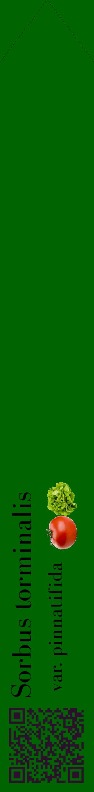 Étiquette de : Sorbus torminalis var. pinnatifida - format c - style noire8_simplebod avec qrcode et comestibilité simplifiée
