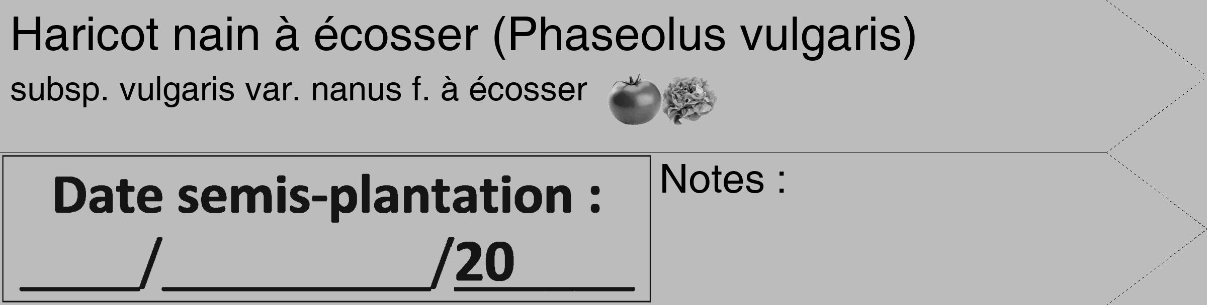 Étiquette de : Phaseolus vulgaris subsp. vulgaris var. nanus f. à écosser - format c - style noire1_simple_simplehel avec comestibilité simplifiée