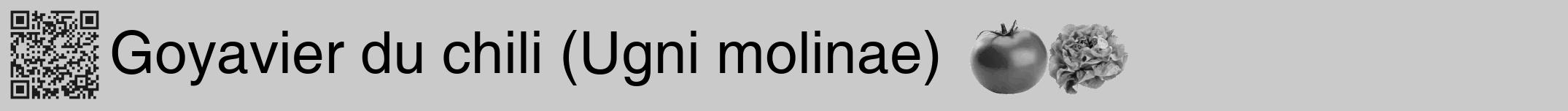 Étiquette de : Ugni molinae - format a - style noire21hel avec qrcode et comestibilité simplifiée